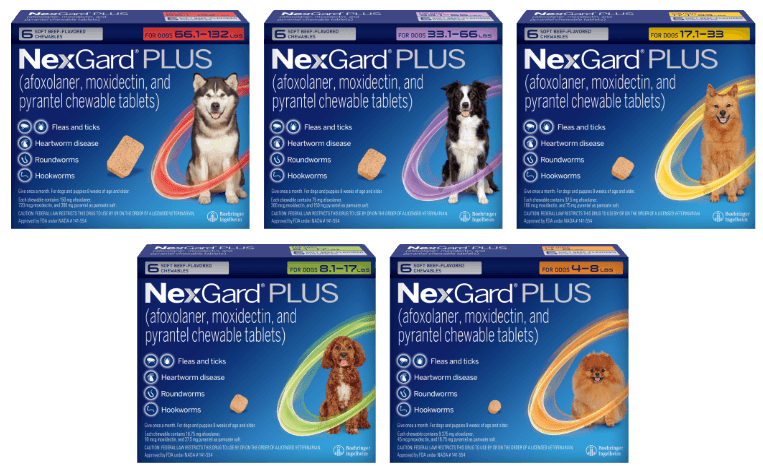 NexGard PLUS All In One Parasiticide For Dogs Boehringer Ingelheim nexgard-plus-all-in-one-parasiticide-for-dogs-boehringer-ingelheim